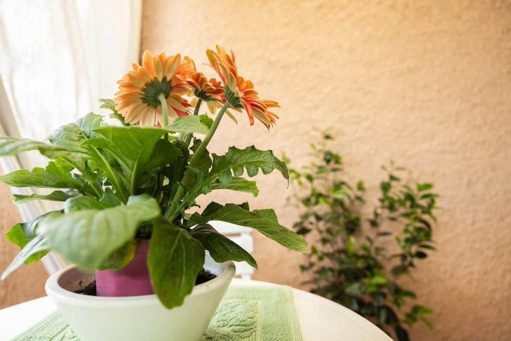 Marini House Olbia