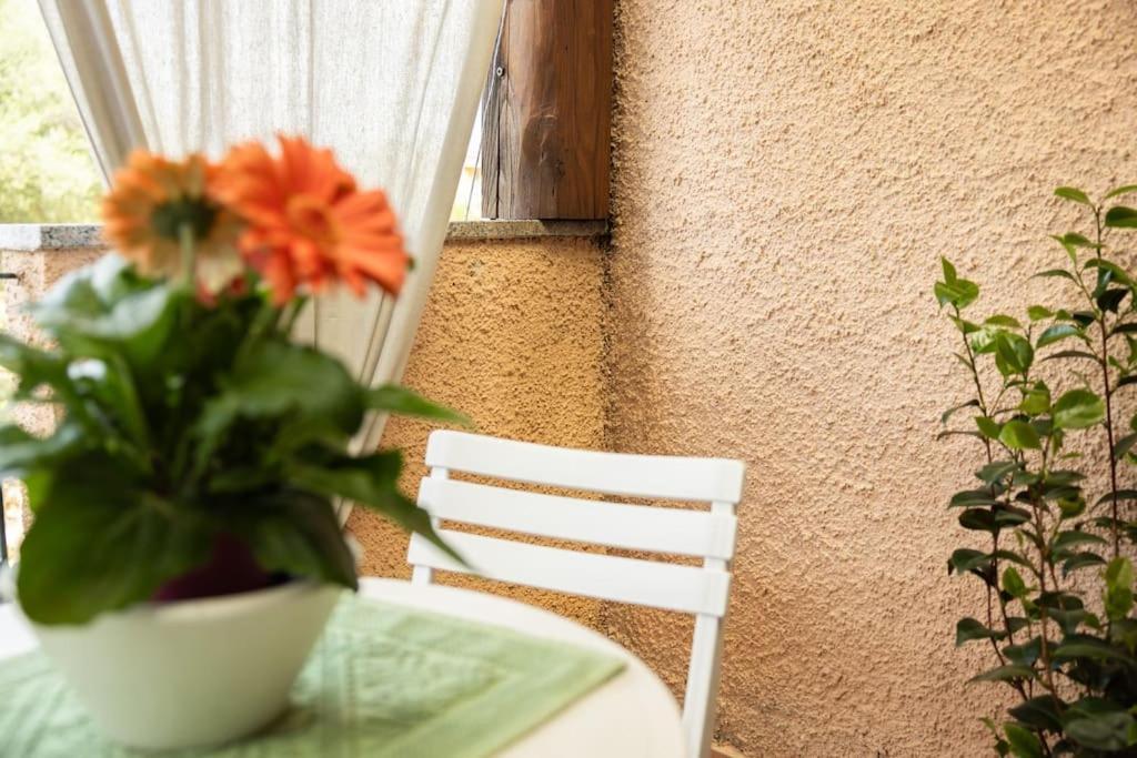 Apartment Marini House *
